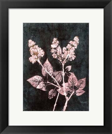 Framed Lilac 1 Blush Dark Green Print