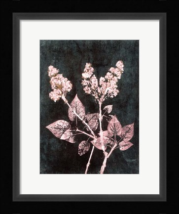 Framed Lilac 1 Blush Dark Green Print