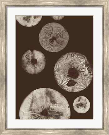 Framed Mushroom 5 Dark Brown Print