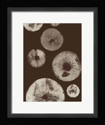 Framed Mushroom 5 Dark Brown Print
