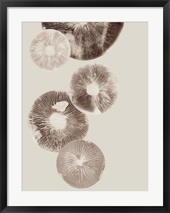 Framed Mushroom 6 Light Brown Print