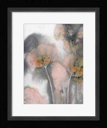 Framed Poppy Salmon Grey Print