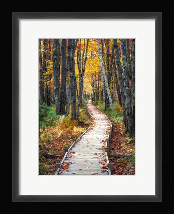 Framed Autumn Boardwalk I Print