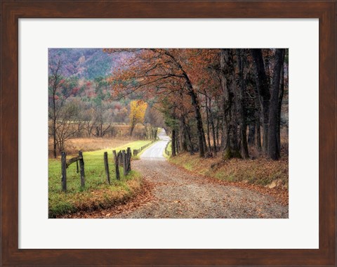Framed Autumn Drive I Print