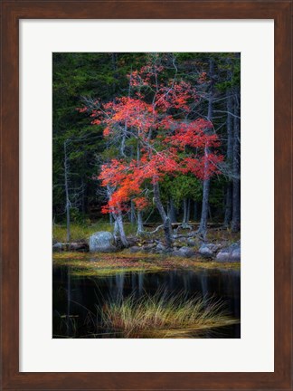 Framed Red Reflections I Print