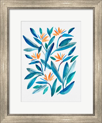 Framed Bird of Paradise Flower 1 Print