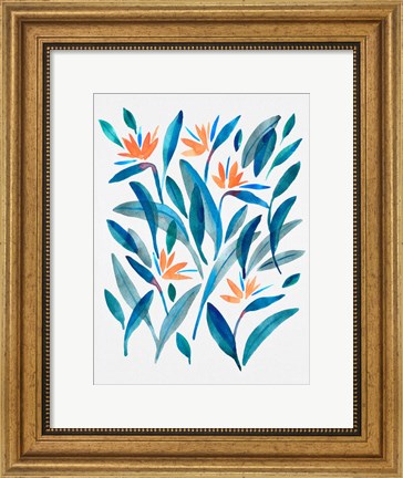 Framed Bird of Paradise Flower 2 Print
