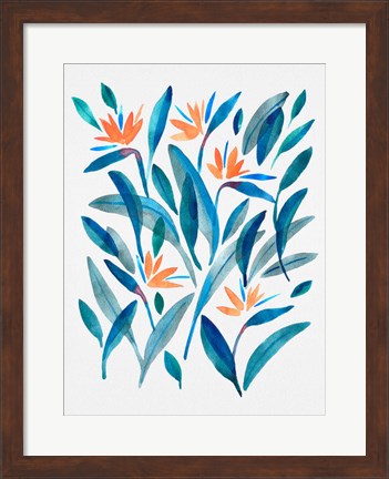 Framed Bird of Paradise Flower 2 Print