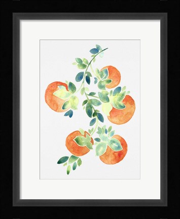 Framed Watercolor Oranges Print