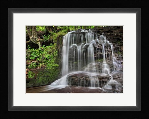 Framed Gunn Brooks Falls Print