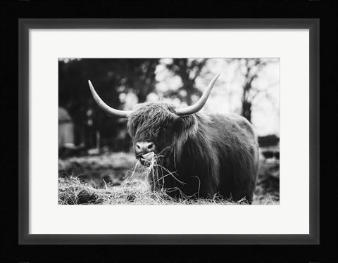 Framed Midday Meal Print