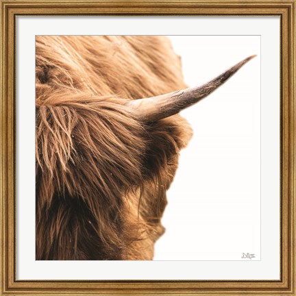 Framed Highland Horn II Print