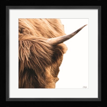 Framed Highland Horn II Print