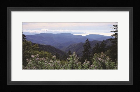 Framed Scenic Mountain View Print