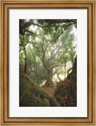 Framed Tree Love Print