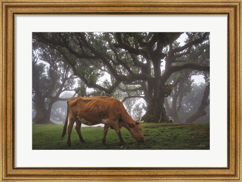 Framed Cow in the Fog Print