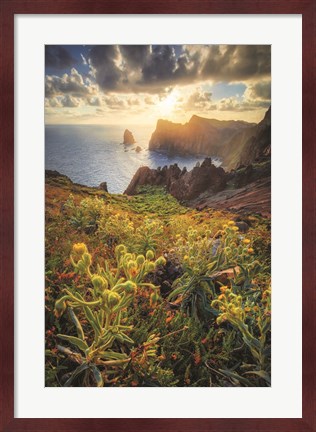 Framed Beautiful Sunrise Print