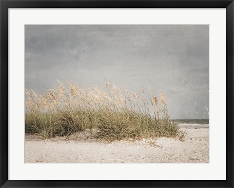 Framed Vintage Beach Grass I Print
