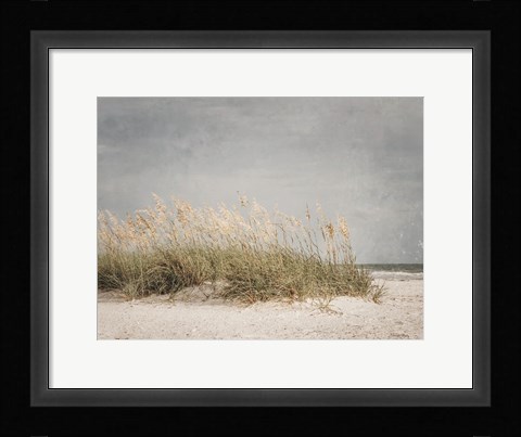 Framed Vintage Beach Grass I Print