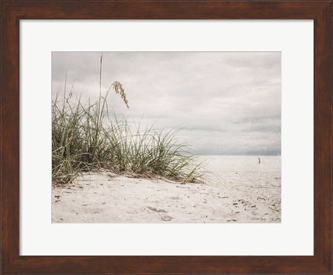 Framed Vintage Beach Grass II Print