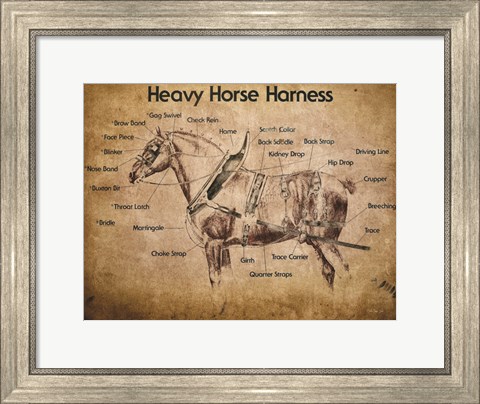 Framed Heavy Horse Harness Print