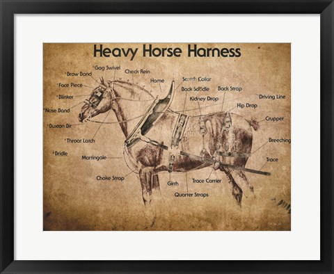 Framed Heavy Horse Harness Print