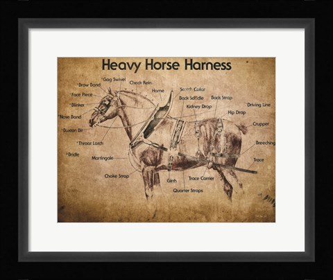 Framed Heavy Horse Harness Print