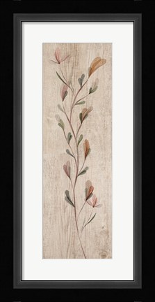 Framed Calm Thriving Beauties Print