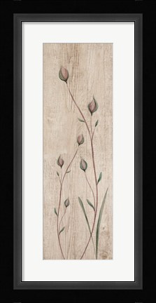 Framed Calm Posies Print