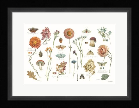 Framed Season's Study III Print