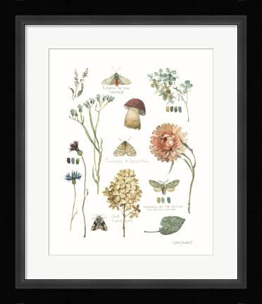 Framed Season's Study IV Print