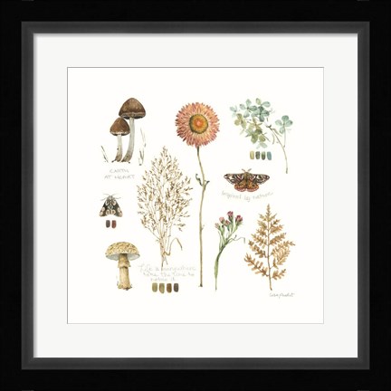 Framed Season's Study IX Print