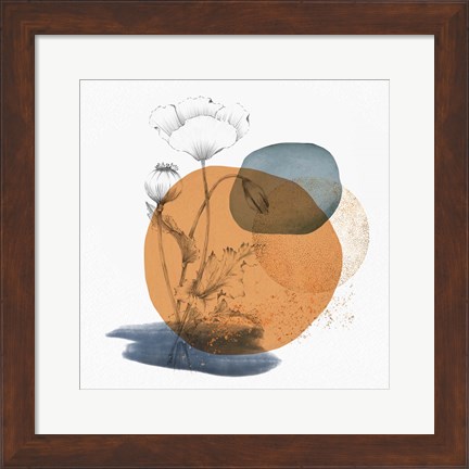 Framed Abstract Flower Composition Print