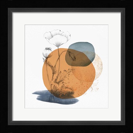 Framed Abstract Flower Composition Print