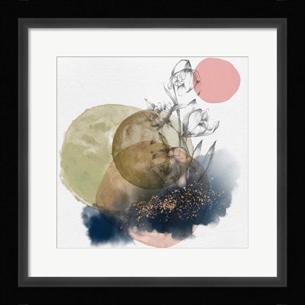 Framed Flower and Watercolor Circles II Print