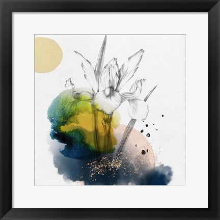 Framed Abstract  Flower Watercolor Composition I Print