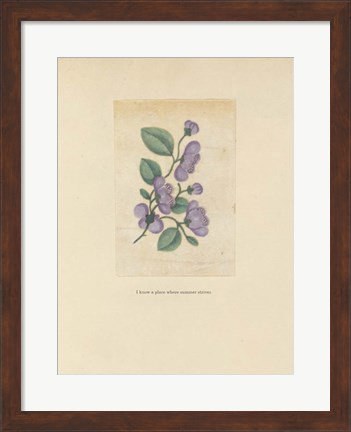 Framed Textbook Floral Pastel Print