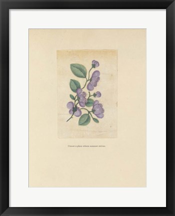 Framed Textbook Floral Pastel Print