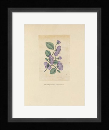 Framed Textbook Floral Pastel Print