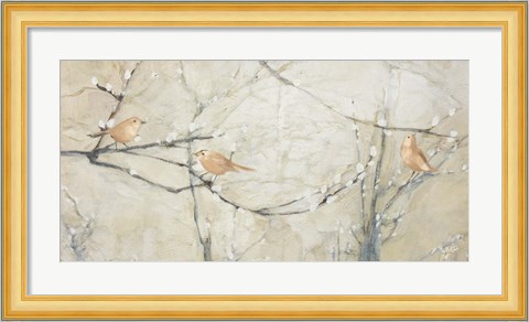 Framed Budding Pussy Willow with Birds Print
