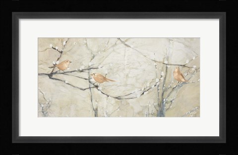 Framed Budding Pussy Willow with Birds Print