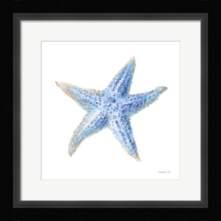 Framed Undersea Starfish Print