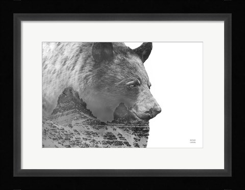 Framed Mountain Bear Print
