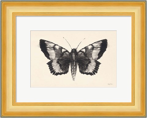 Framed Moth V Print