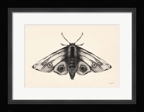 Framed Moth II Print