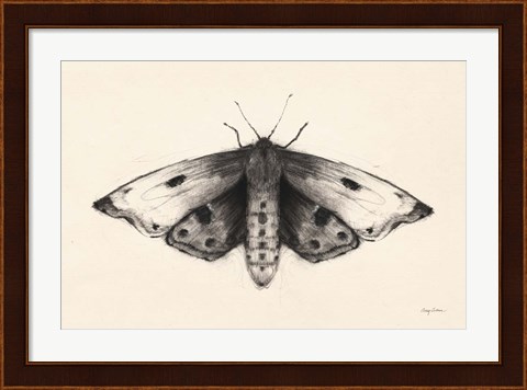 Framed Moth I Print