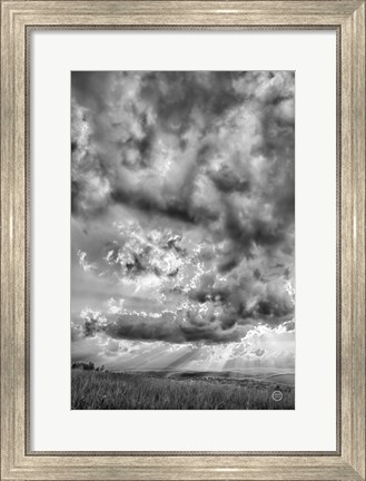 Framed Rolling Pasture Rays Print