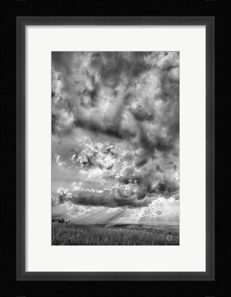 Framed Rolling Pasture Rays Print