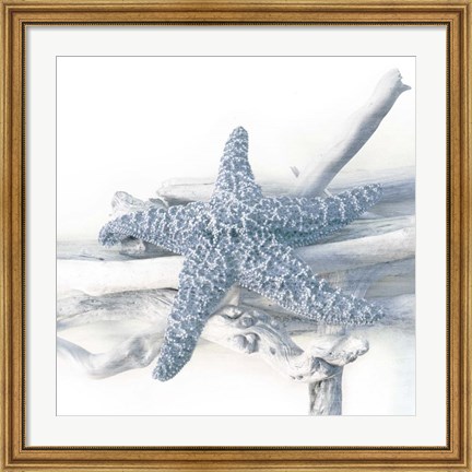 Framed Starfish Beach 5 V3 Print