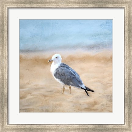 Framed Seagull Print